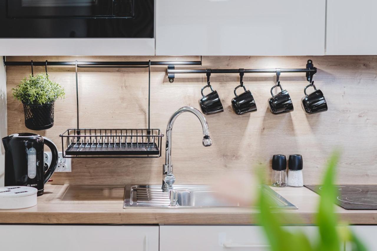 Apartament Niko Stary Toruń エクステリア 写真