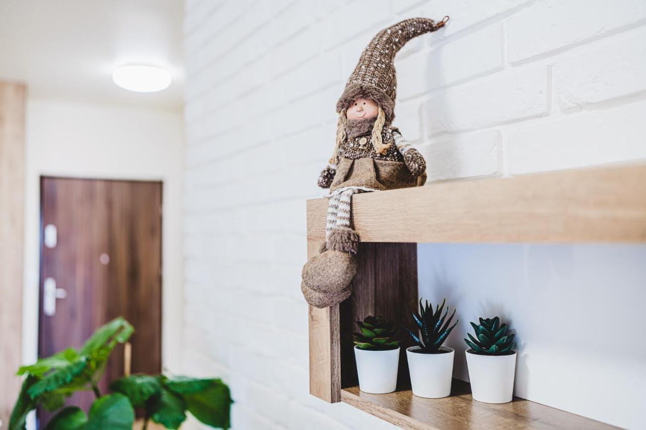 Apartament Niko Stary Toruń エクステリア 写真