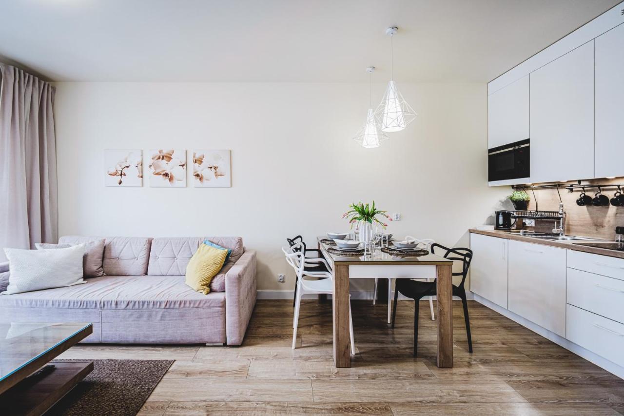 Apartament Niko Stary Toruń エクステリア 写真